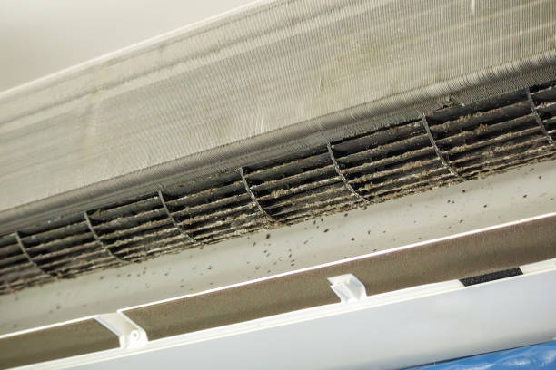 Best Affordable Duct Cleaning Services  in White Oak, TX